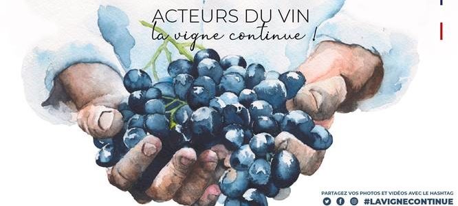 La Vigne continue…