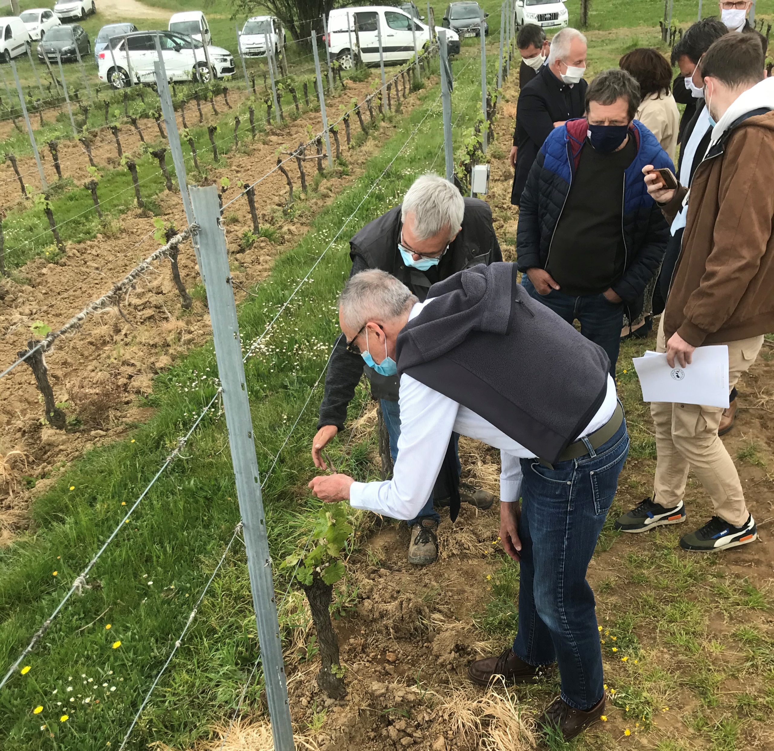 Le Préfet de la Dordogne, en visite dans le vignoble le 29 avril,